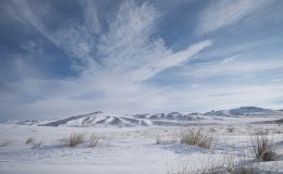 ‘Vahşi Moğolistan: Mavi Gökyüzü Ülkesi’ 7 Eylül Cumartesi Günü 21.00’de National Geographic WILD Ekranlarında!