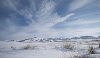 ‘Vahşi Moğolistan: Mavi Gökyüzü Ülkesi’ 7 Eylül Cumartesi Günü 21.00’de National Geographic WILD Ekranlarında!